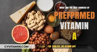 Top Preformed Vitamin A Sources for Optimal Health and Wellness