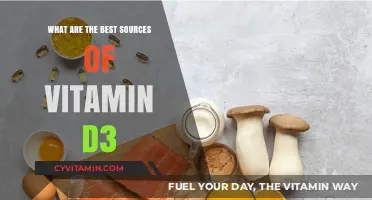 Top Natural and Supplement Sources of Vitamin D3 Revealed