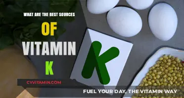 Top Vitamin K-Rich Foods to Boost Your Health Naturally
