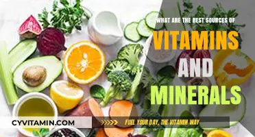 Top Nutrient-Rich Foods for Optimal Vitamin and Mineral Intake