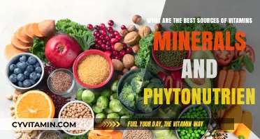 Unlocking Optimal Health: Top Sources of Vitamins, Minerals, and Phytonutrients