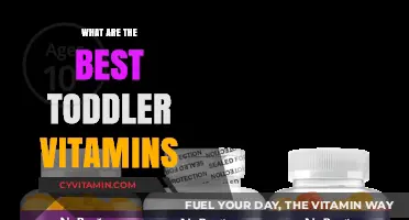 Top Toddler Vitamins for Healthy Growth and Development