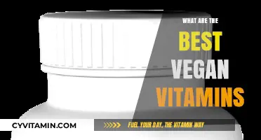 Top Vegan Vitamins for Optimal Health and Wellness