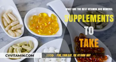 Top Vitamin and Mineral Supplements for Optimal Health and Wellness