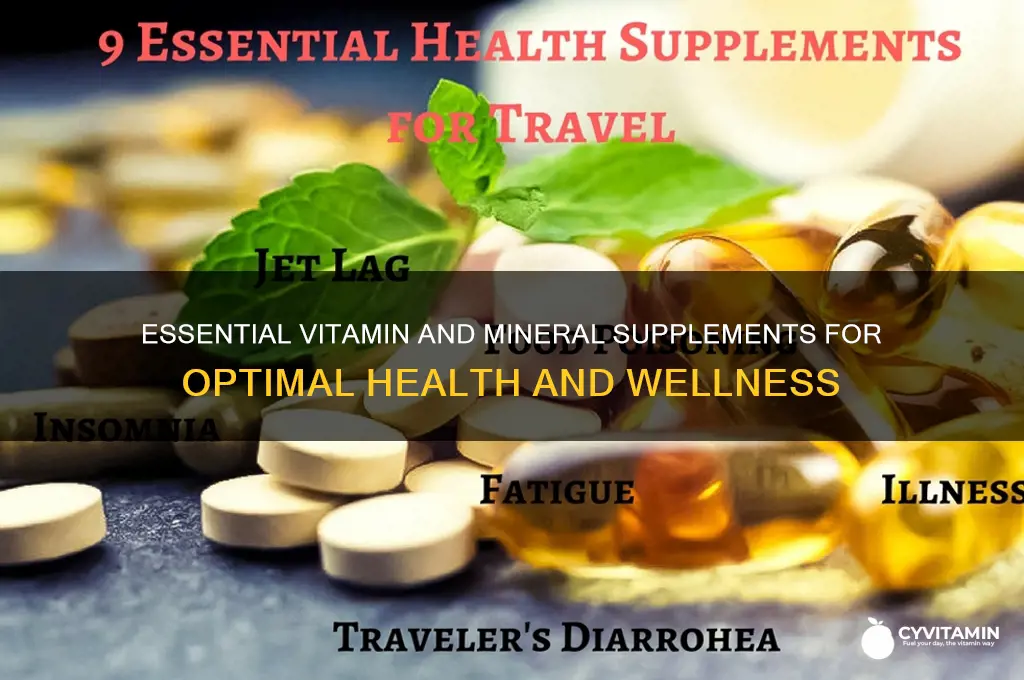 what are the best vitamin and mineral supplements to take