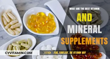 Top Vitamin and Mineral Supplements for Optimal Health and Wellness