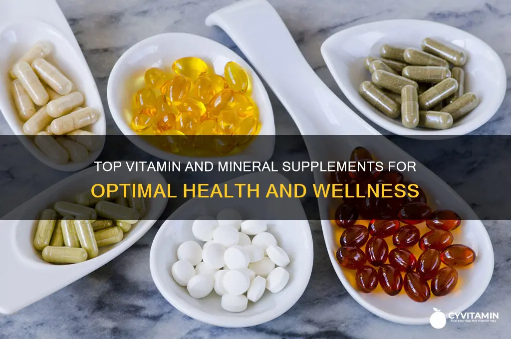 what are the best vitamin and mineral supplements