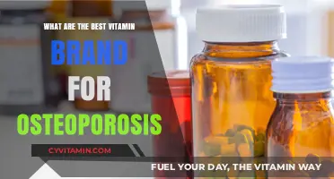 Top Vitamin Brands to Strengthen Bones and Fight Osteoporosis