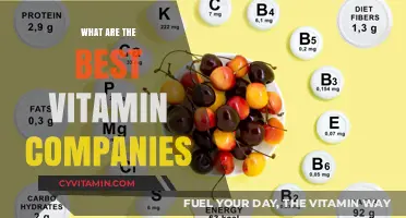 Top Vitamin Brands: Quality, Purity, and Trustworthy Supplement Companies
