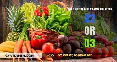 Vegan Vitamin D: D2 vs. D3 – Which is Best for You?