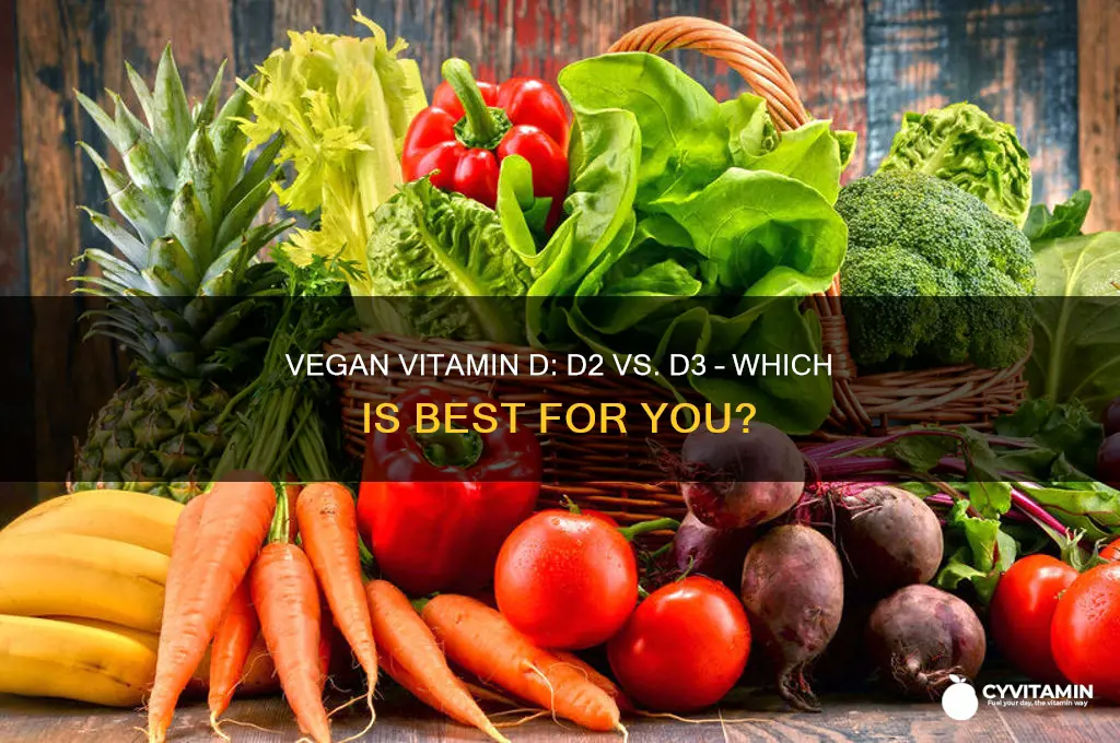 what are the best vitamin for vegan d2 or d3
