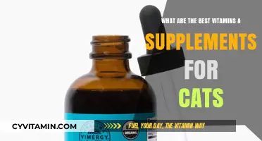 Essential Vitamins & Supplements to Boost Your Cat's Health and Vitality