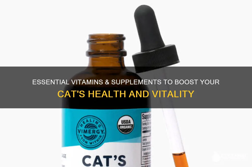 what are the best vitamins & supplements for cats