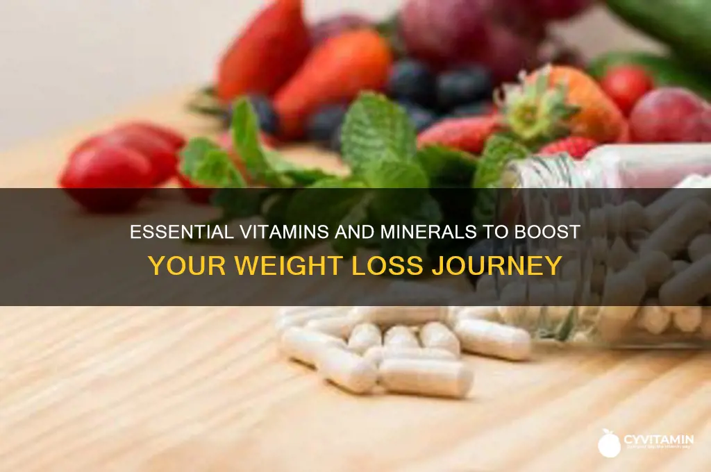 what are the best vitamins and minerals for weight loss