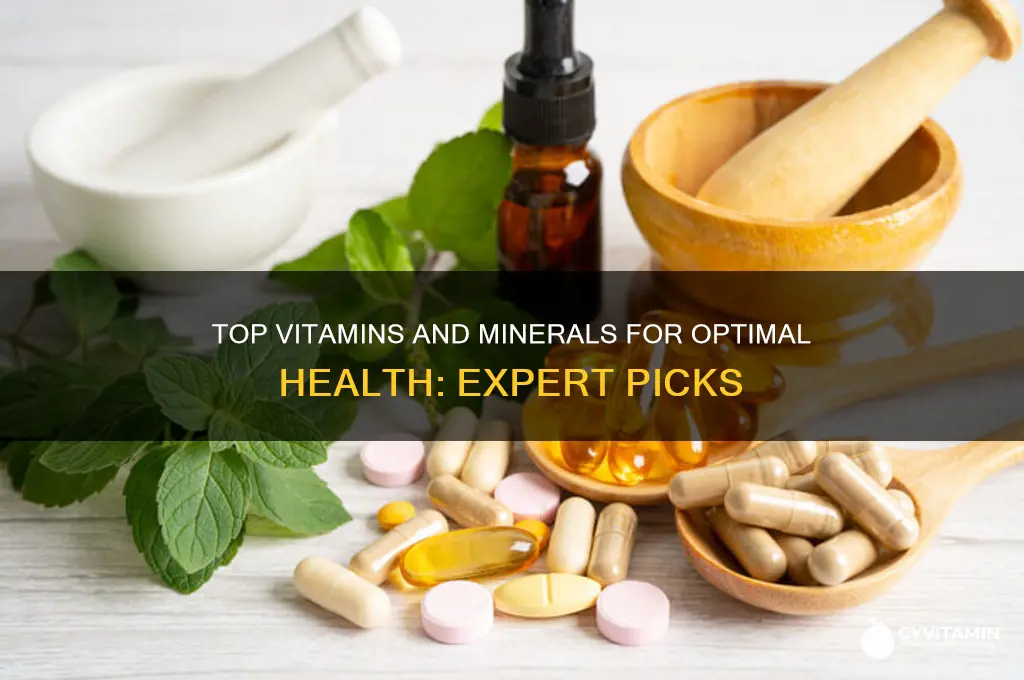what are the best vitamins and minerals on the market