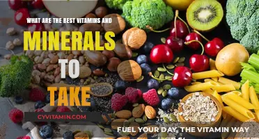 Essential Vitamins and Minerals for Optimal Health and Wellness
