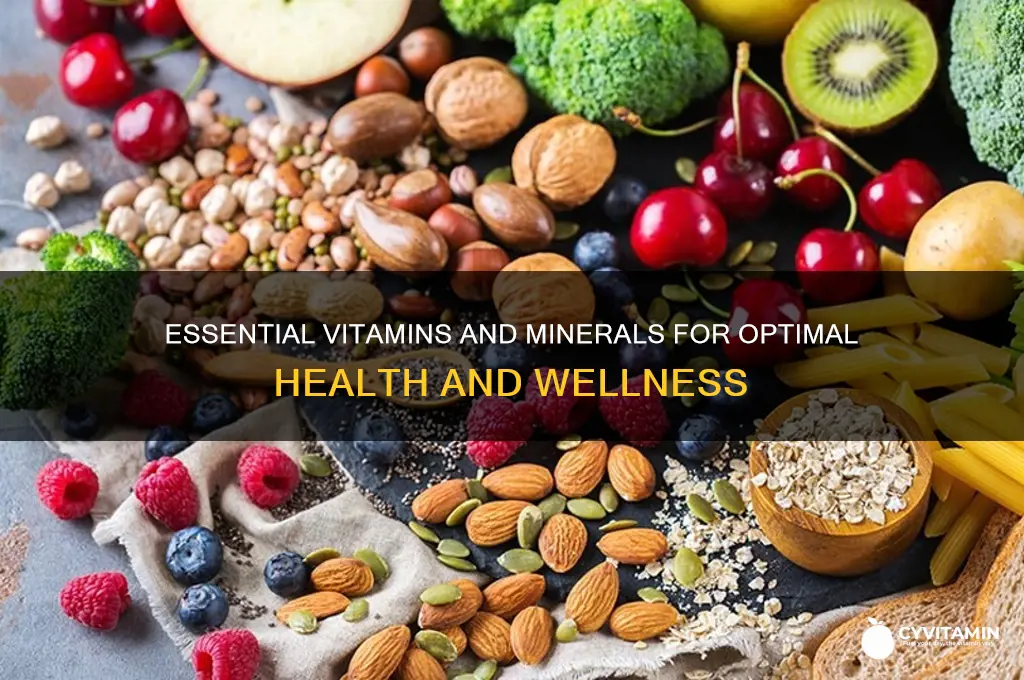 what are the best vitamins and minerals to take