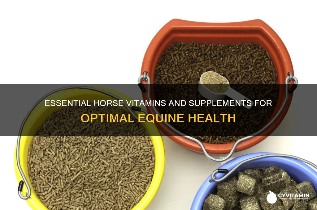 what are the best vitamins and supplements for horses