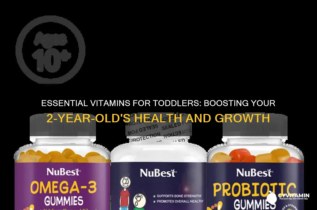 what are the best vitamins for 2 year olds