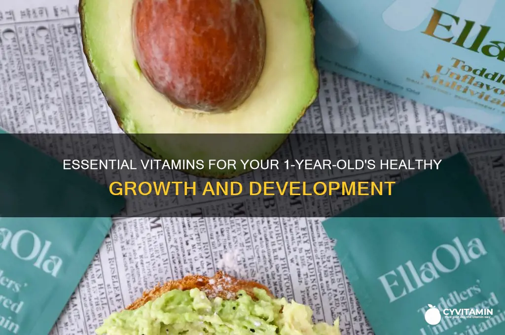 what are the best vitamins for a 1 year old