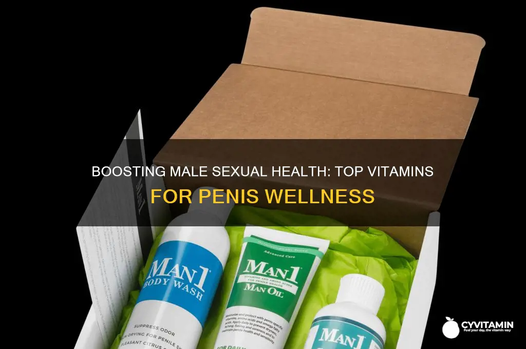 what are the best vitamins for a mans penis