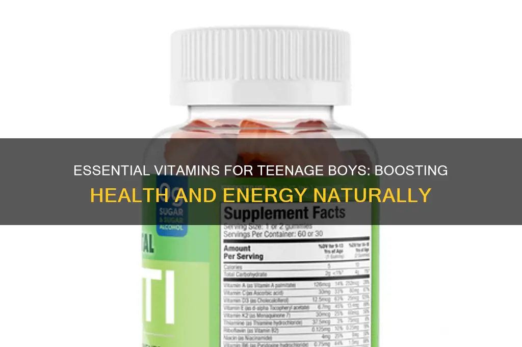 what are the best vitamins for a teenage boy
