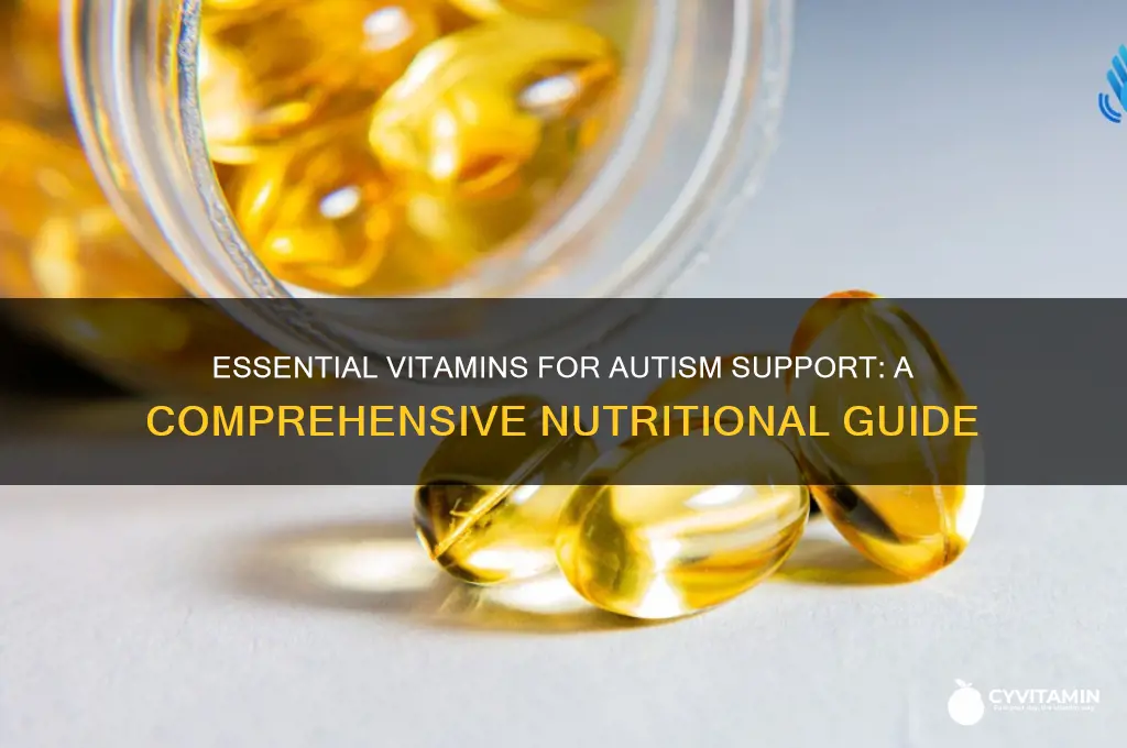 what are the best vitamins for autism