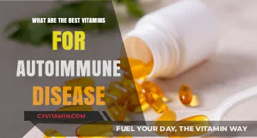 Boosting Immunity Naturally: Top Vitamins for Autoimmune Disease Management