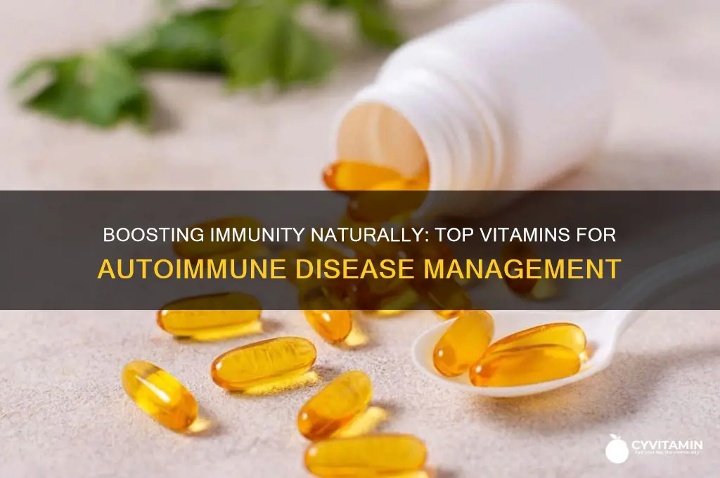 what are the best vitamins for autoimmune disease