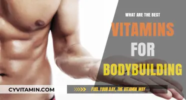 Essential Vitamins to Boost Muscle Growth and Bodybuilding Performance
