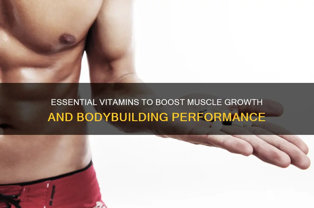what are the best vitamins for bodybuilding