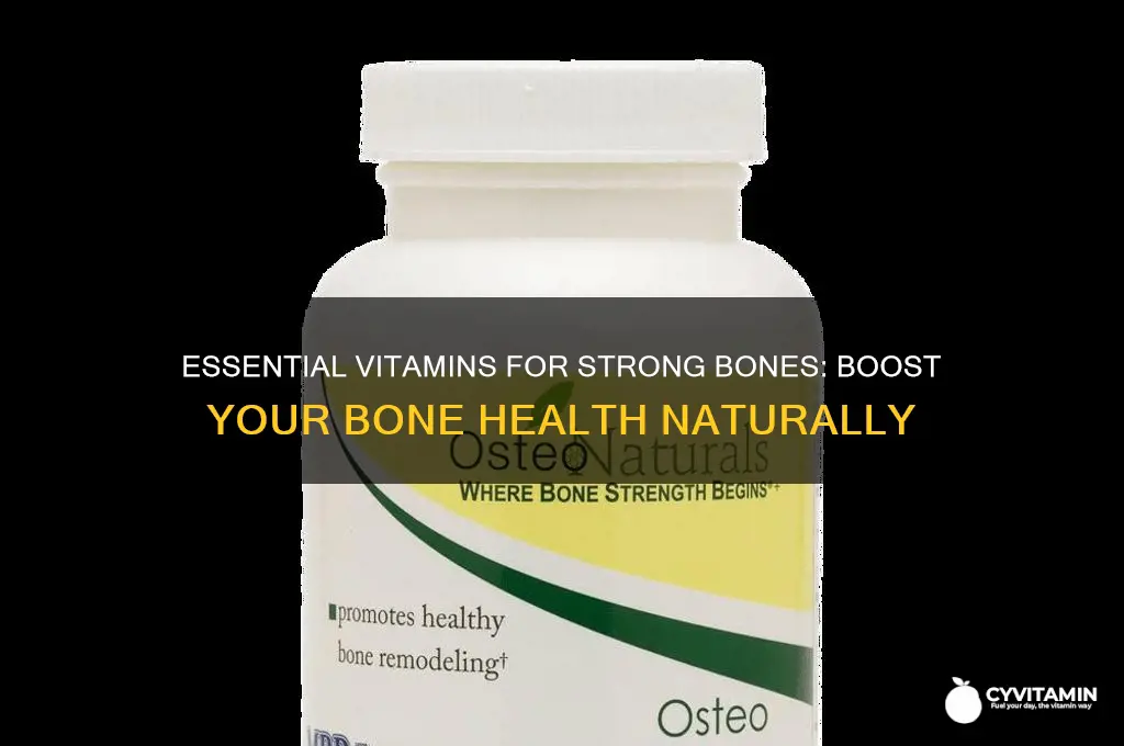 what are the best vitamins for bone health