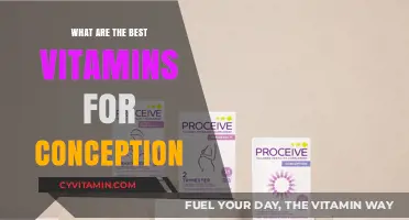 Boosting Fertility: Top Vitamins for Conception and Healthy Pregnancy
