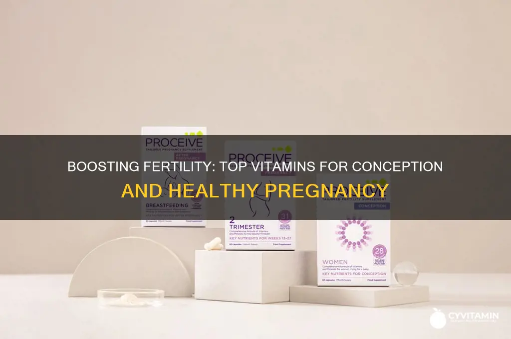 what are the best vitamins for conception