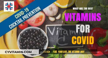 Boost Immunity: Top Vitamins to Support COVID-19 Recovery