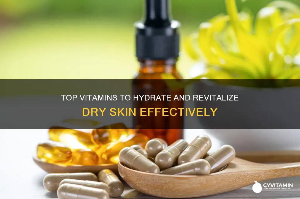 what are the best vitamins for dry skin