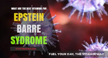 Boosting Recovery: Top Vitamins for Epstein-Barr Syndrome Support