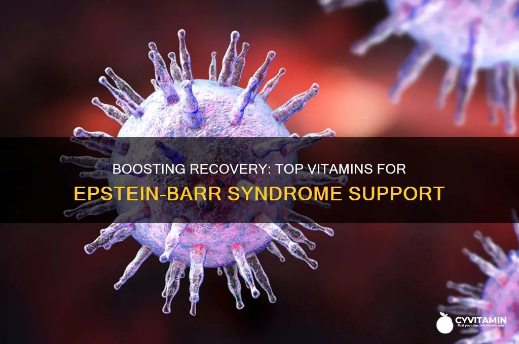 what are the best vitamins for epstein barre sydrome