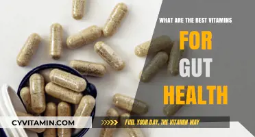 Boost Gut Health: Top Vitamins for a Happy, Healthy Digestive System