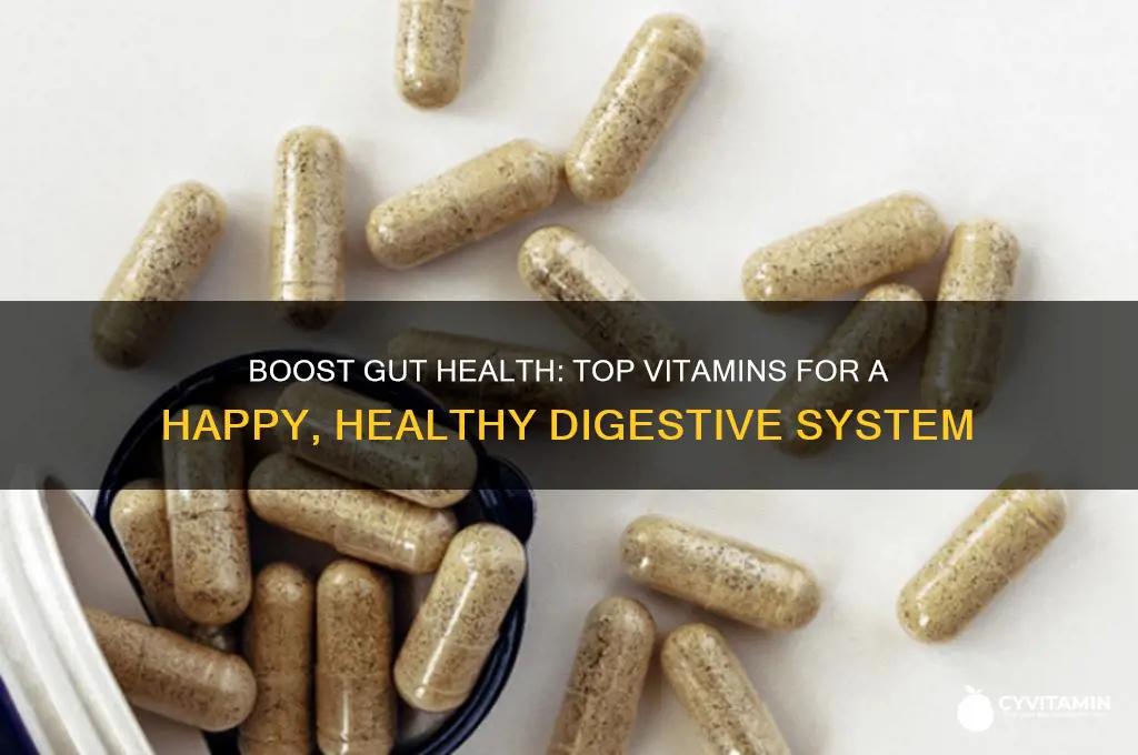 what are the best vitamins for gut health