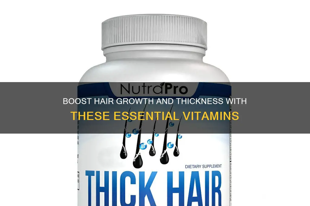 what are the best vitamins for hair growth and thickness