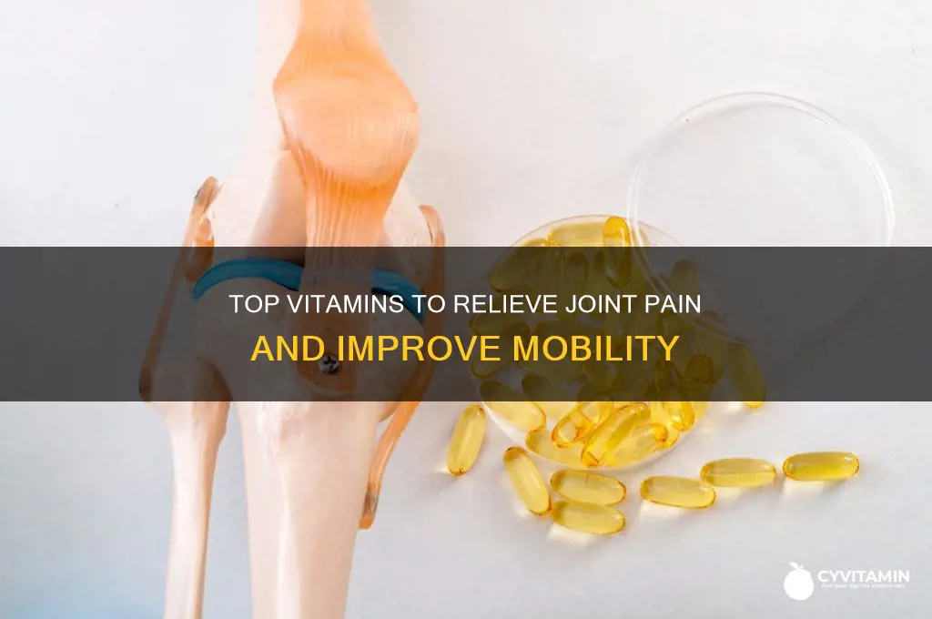 what are the best vitamins for joint ain
