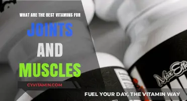 Top Vitamins for Joint and Muscle Health: Essential Nutrients Guide