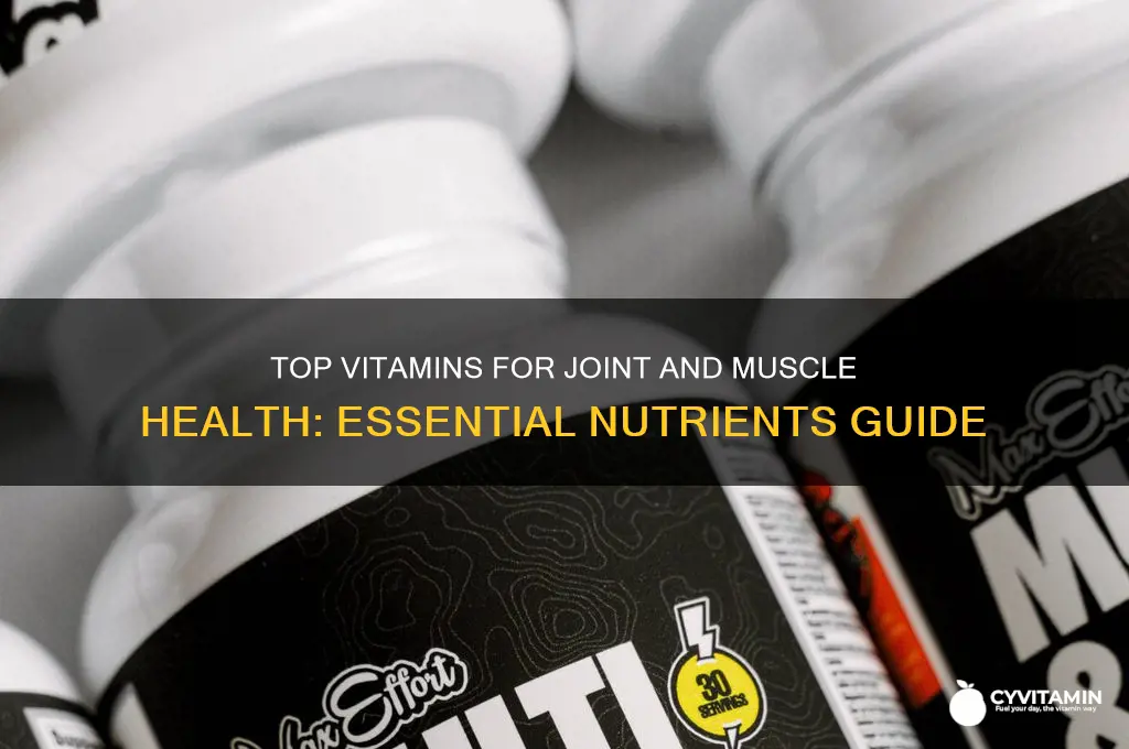 what are the best vitamins for joints and muscles
