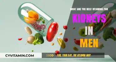 Top Kidney-Boosting Vitamins for Men's Health and Wellness
