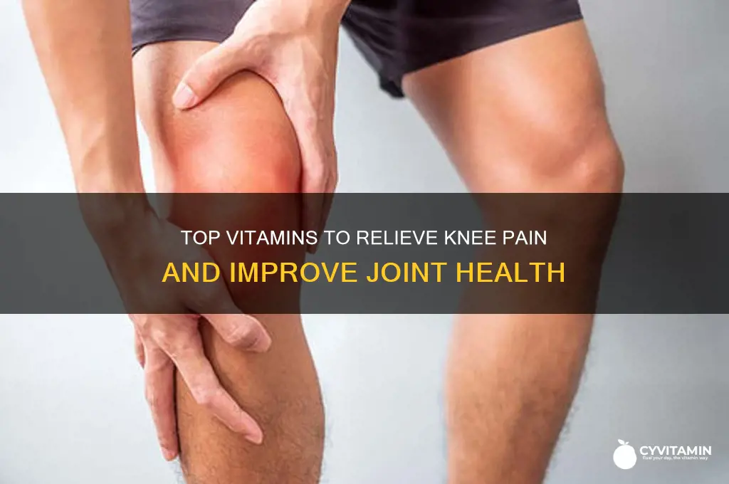 what are the best vitamins for knee pain
