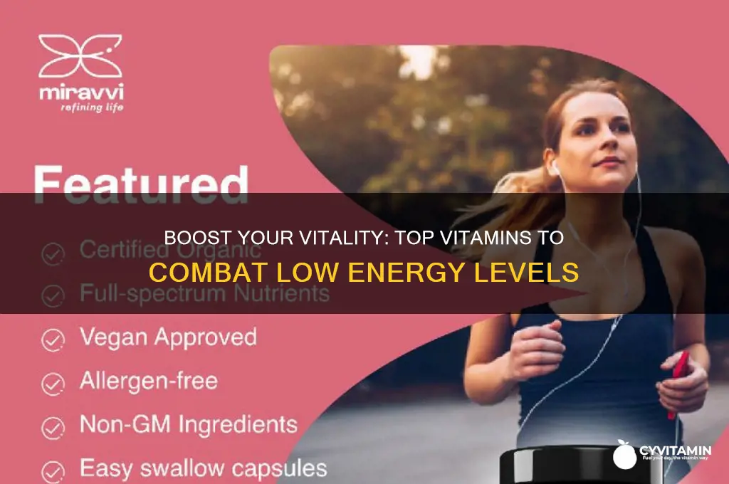 what are the best vitamins for low energy
