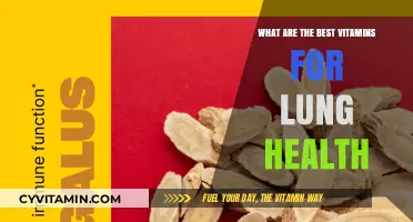 Boost Lung Health: Top Vitamins for Respiratory Wellness