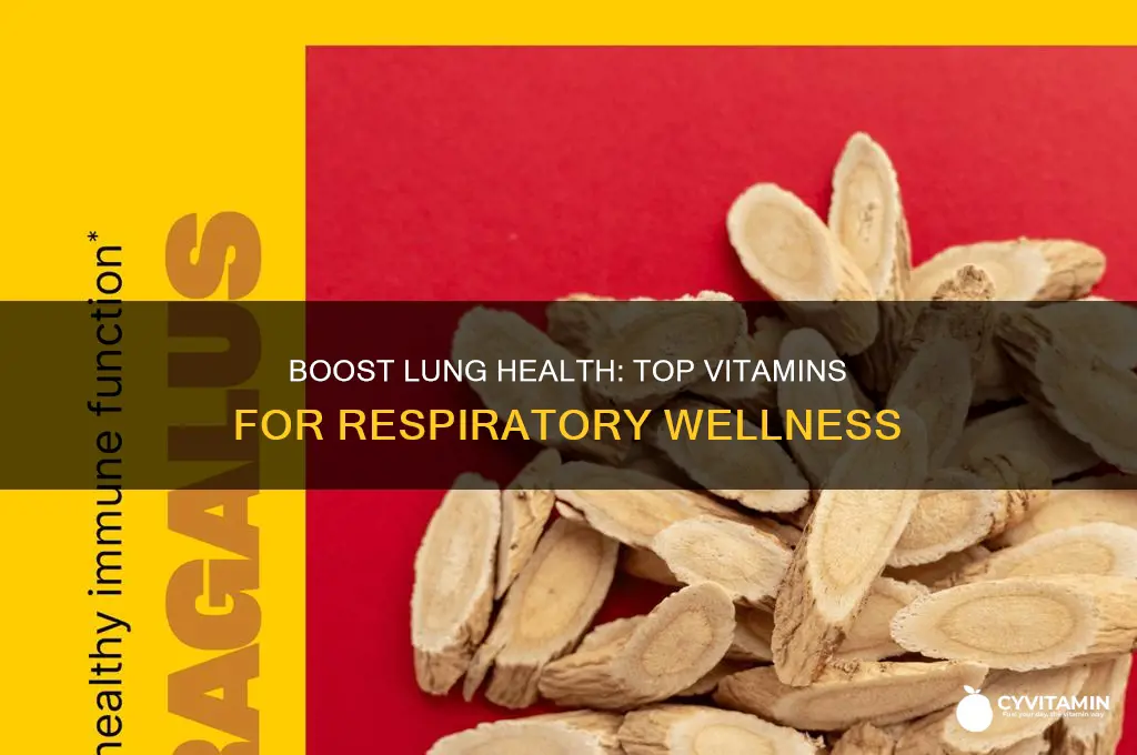 what are the best vitamins for lung health