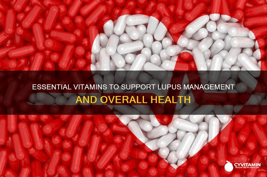 what are the best vitamins for lupus